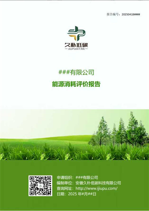 能源消耗评价报告